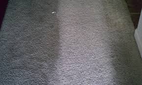San Diego carpet cleaning