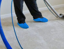 carpet.cleaning