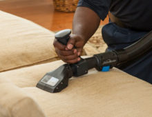 upholstery.cleaning